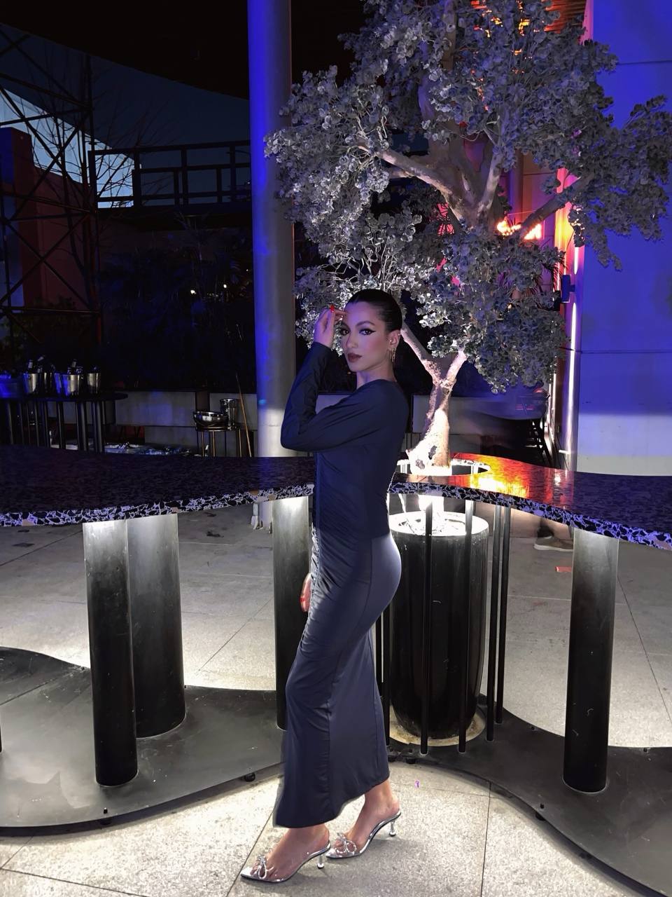 Dark Gray Dress