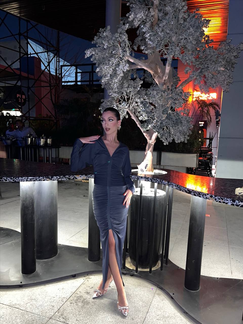 Dark Gray Dress