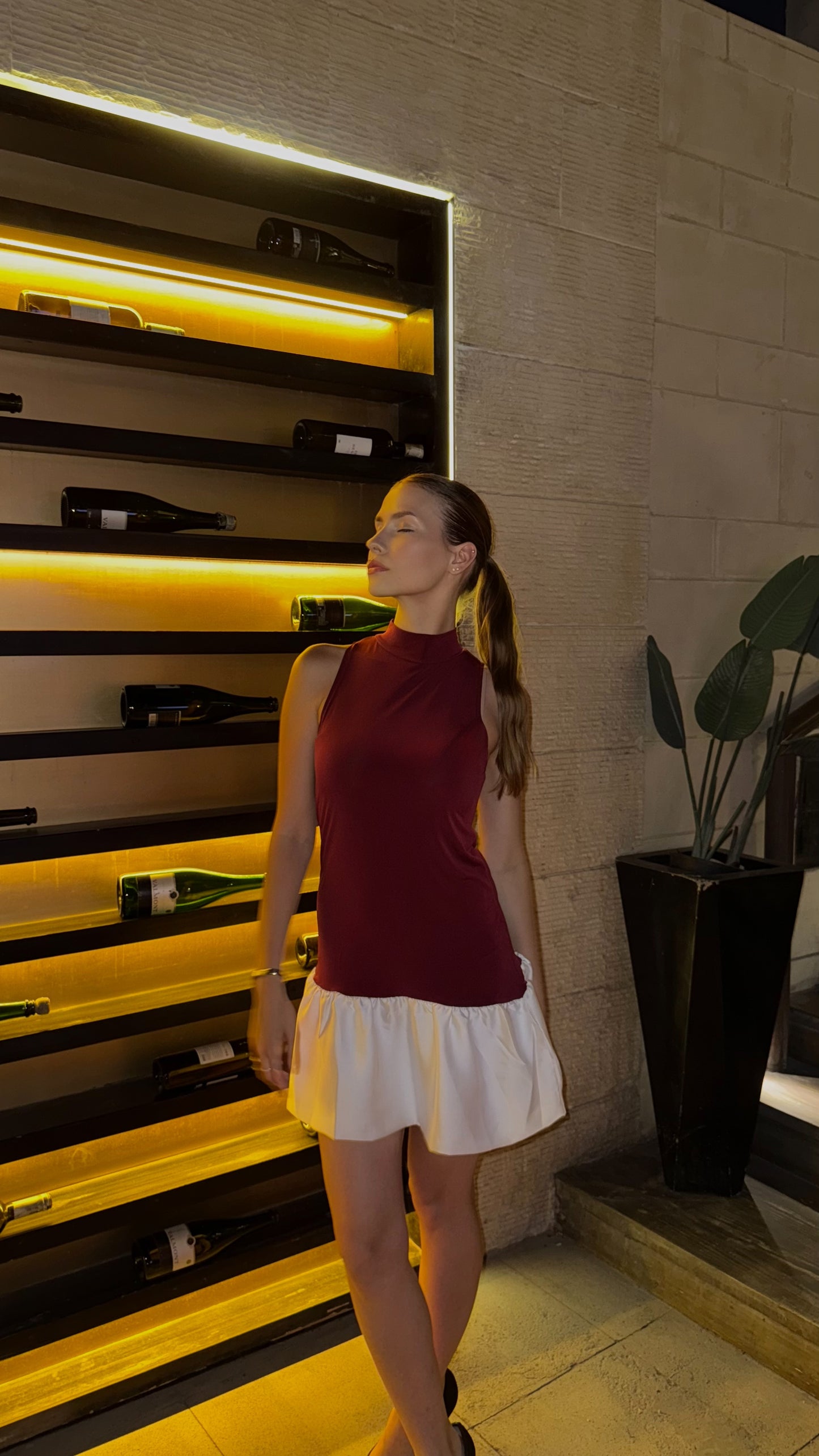 Burgundy Two-Tone Basic Dress