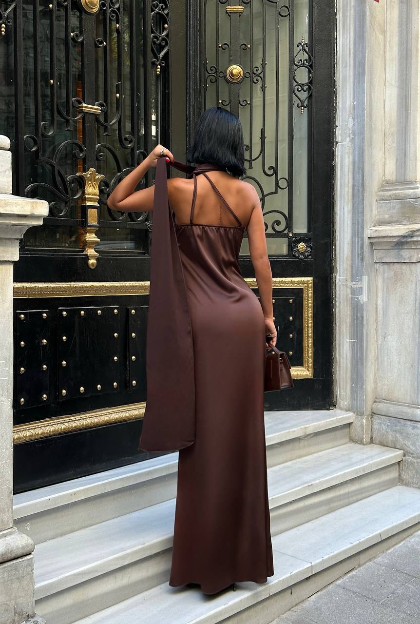 Brown satin dress with shawl
