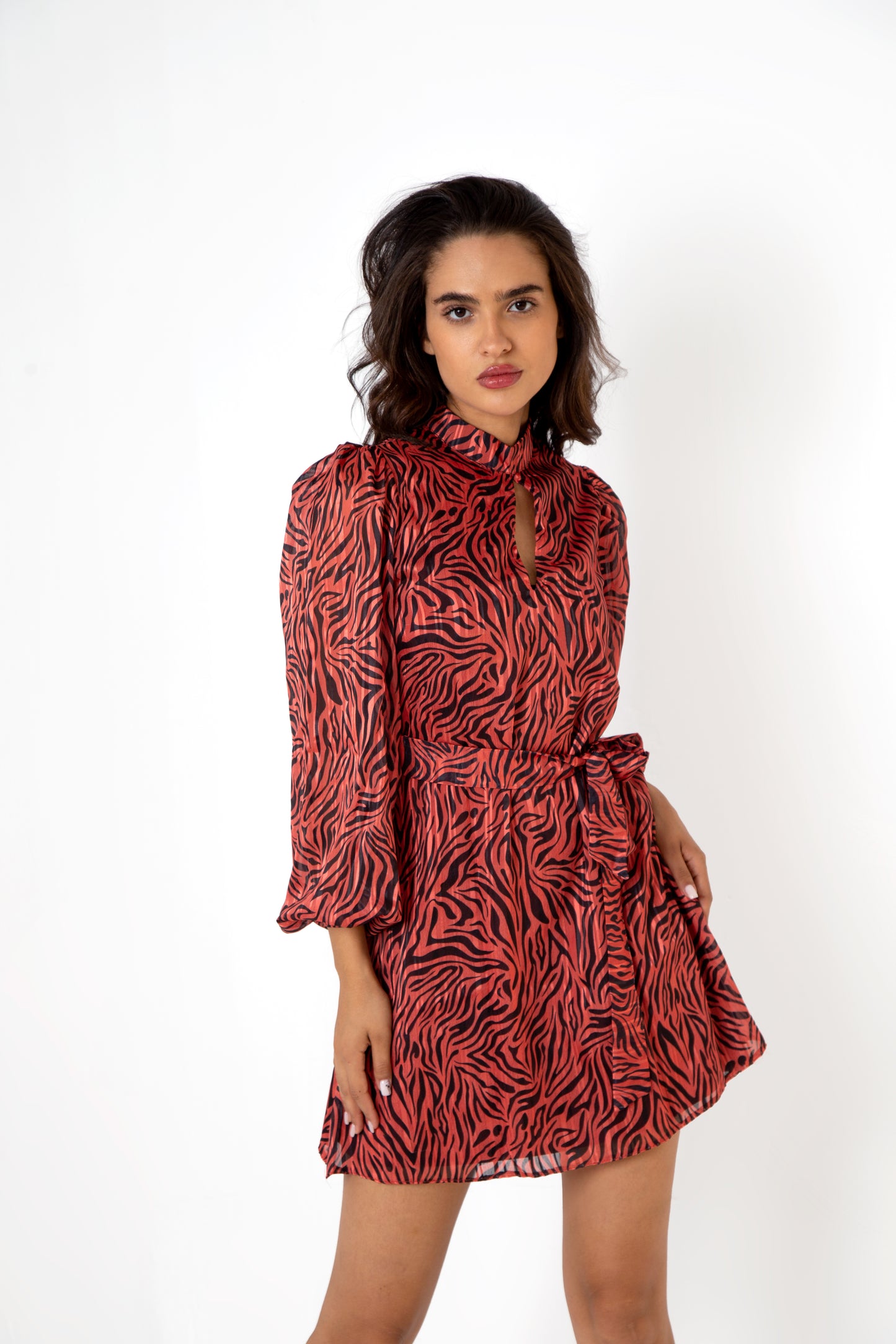 Multicolored Belted Patterned Dress