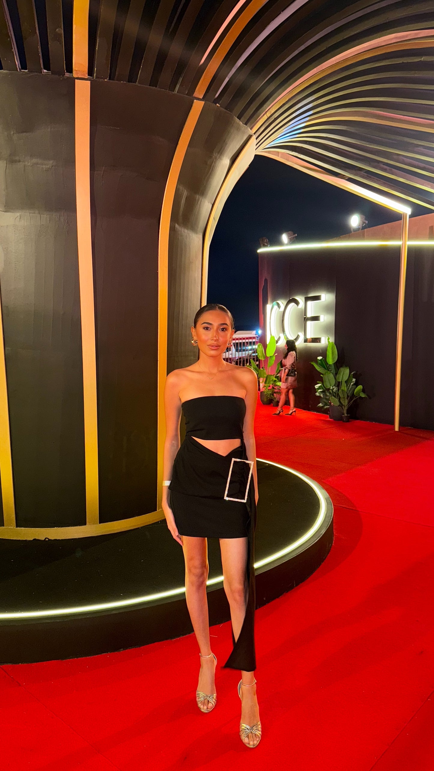 Black Diana Mini Dress