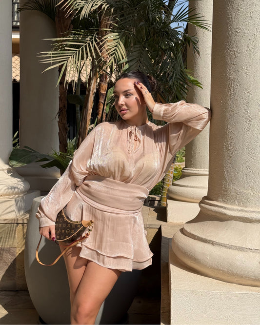 VANESYA Organza Fabric Lined Designer Mini Dress With short