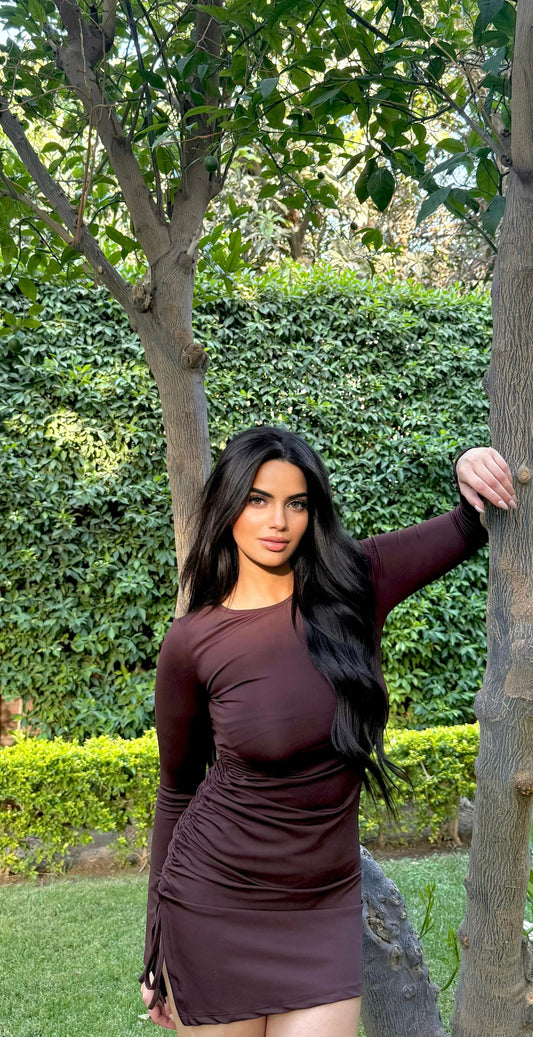 Brown Dress Long Sleeve Ruched Side