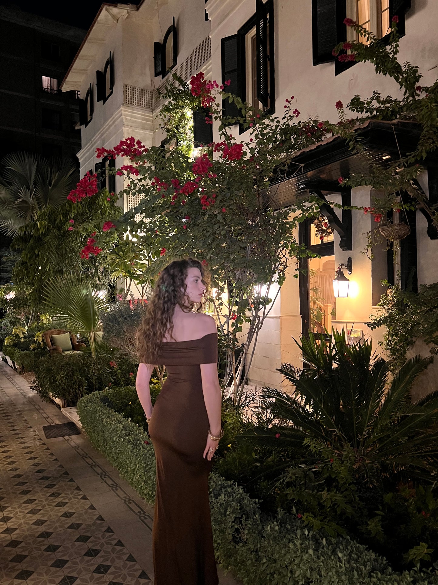 Brown Allayia Long Dress