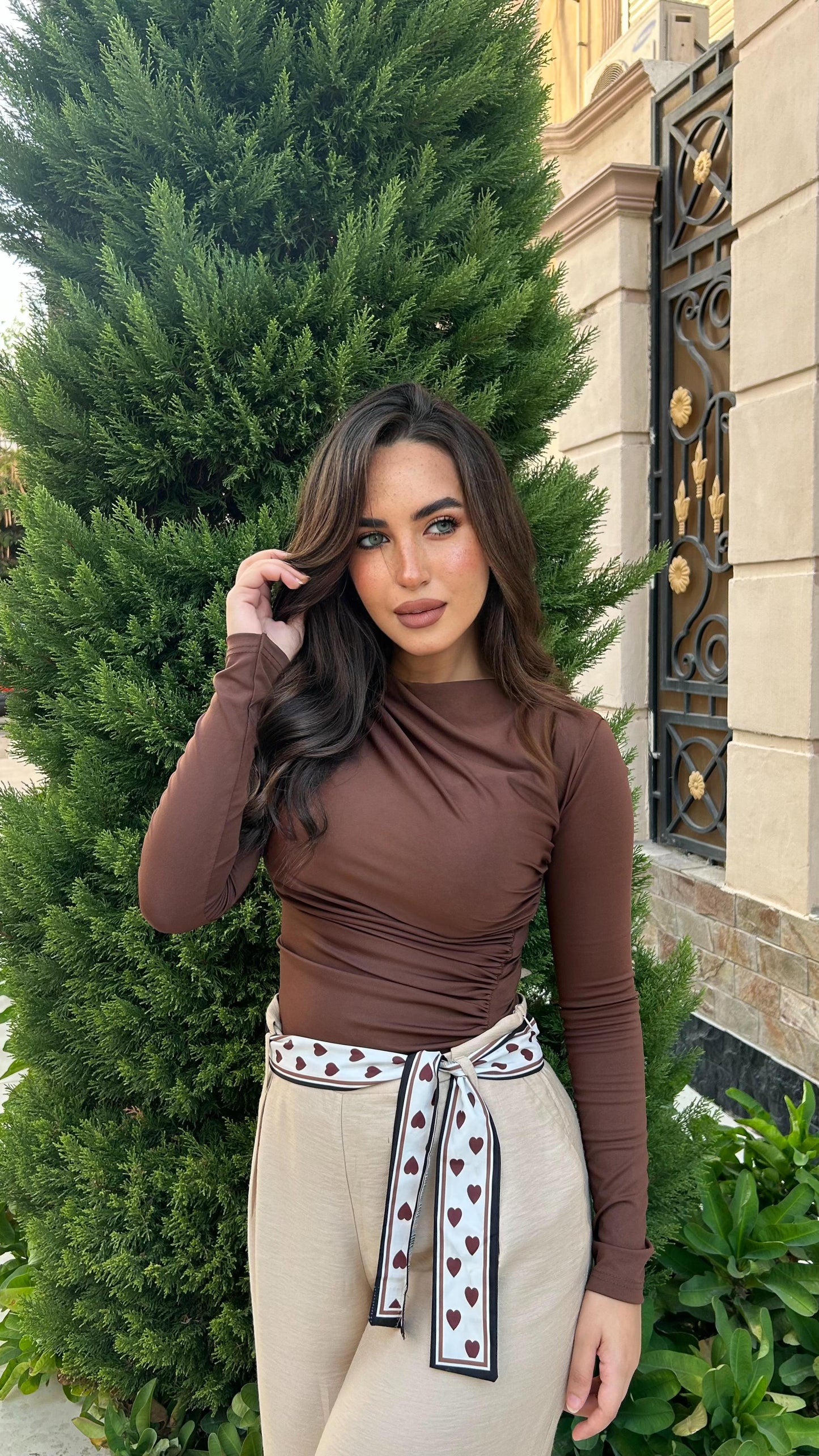 Brown Drape Long Sleeve Blouse